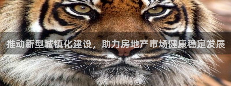 澳门和记平台官网：推动新型城镇化建设，助力房地产市场健康稳定