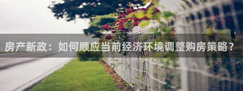 和记娱可信赖h88285官网：房产新政：如何顺应当前经济环境
