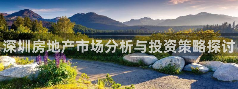 澳门和记电信官网：深圳房地产市场分析与投资策略探讨