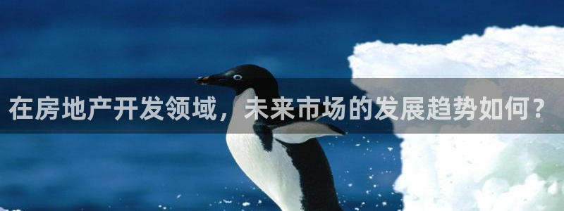 和记电讯香港官网：在房地产开发领域，未来市场的发展趋势如何？