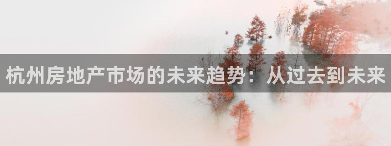 郑州和记酒业官网：杭州房地产市场的未来趋势：从过去到未来