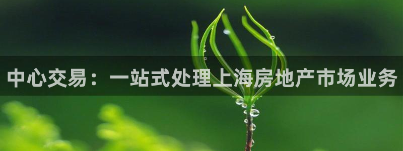 和生记官网：中心交易：一站式处理上海房地产市场业务