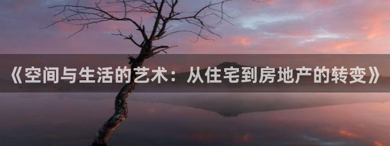 和记环球电讯官网：《空间与生活的艺术：从住宅到房地产的转变》