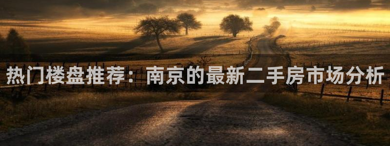 澳门和记官网：热门楼盘推荐：南京的最新二手房市场分析