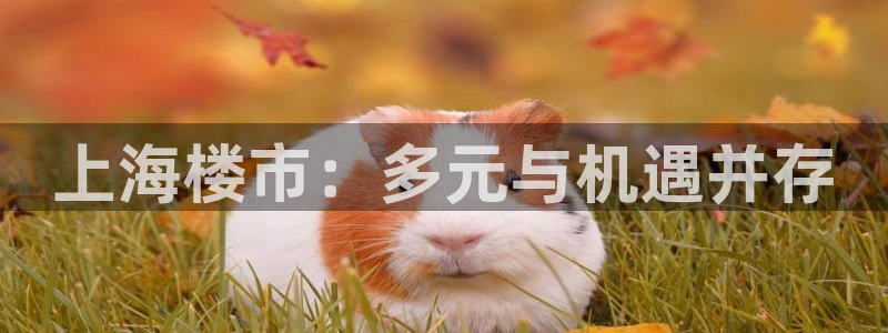 和记娱解答h88285官网：上海楼市：多元与机遇并存