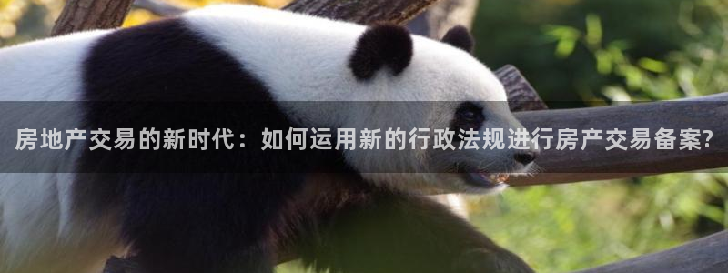 和记官网充值：房地产交易的新时代：如何运用新的行政法规进行房