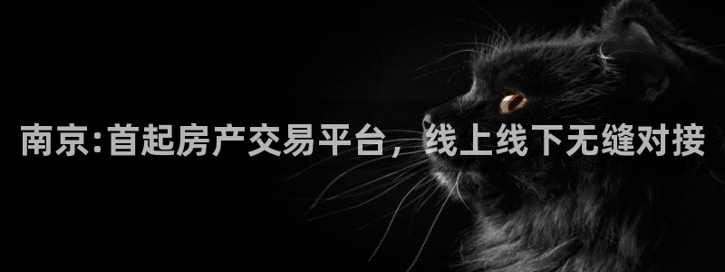 和记官网app是谁的：南京:首起房产交易平台，线上线下无缝对