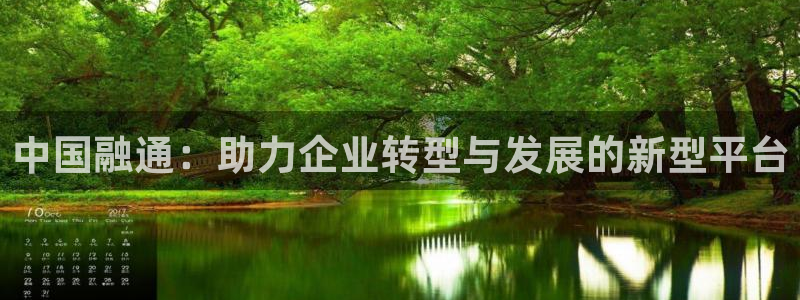 和记唯一官网：中国融通：助力企业转型与发展的新型平台