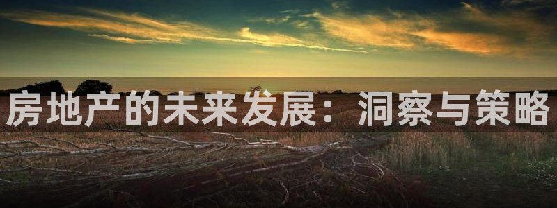 和记洋行官网：房地产的未来发展：洞察与策略