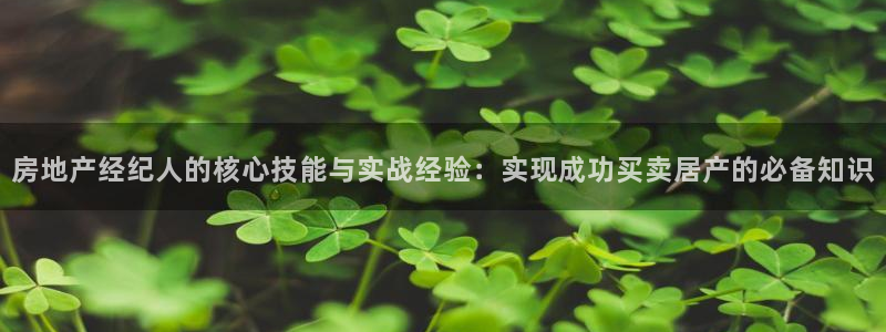 和记彩官网：房地产经纪人的核心技能与实战经验：实现成功买卖居