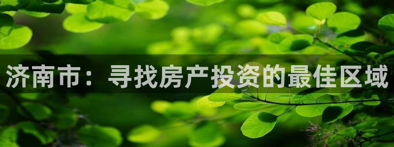 和记怡情h88官网中文版：济南市：寻找房产投资的最佳区域