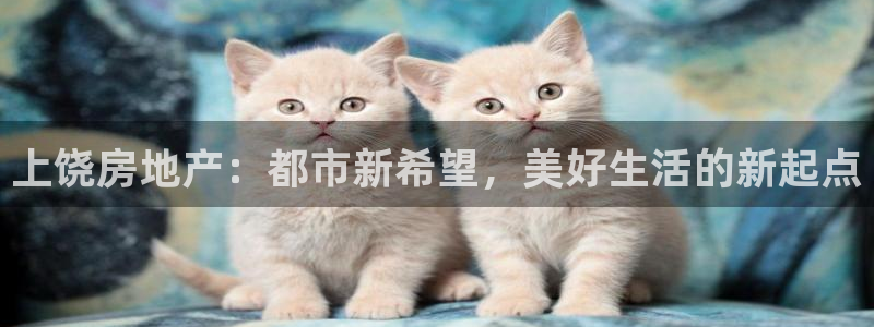 元和记官网：上饶房地产：都市新希望，美好生活的新起点