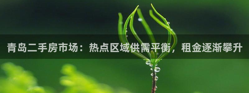 和记娱真好h88285官网：青岛二手房市场：热点区域供需平衡