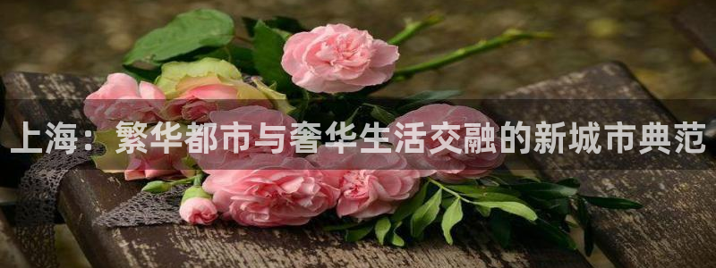 和记网站官网：上海：繁华都市与奢华生活交融的新城市典范