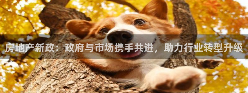 和记官网地址：房地产新政：政府与市场携手共进，助力行业转型升