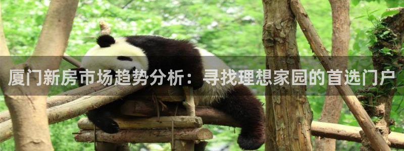胡和记官网：厦门新房市场趋势分析：寻找理想家园的首选门户