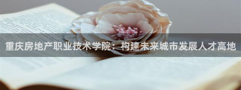 和记官网是一个什么平台：重庆房地产职业技术学院：构建未来城市