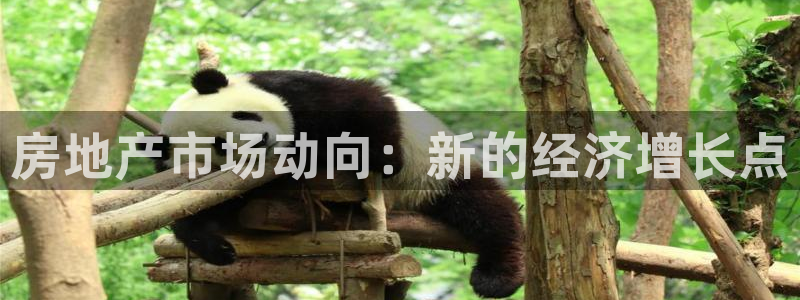和记188官网：房地产市场动向：新的经济增长点