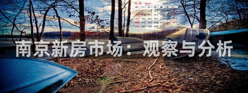 元和记官网：南京新房市场：观察与分析