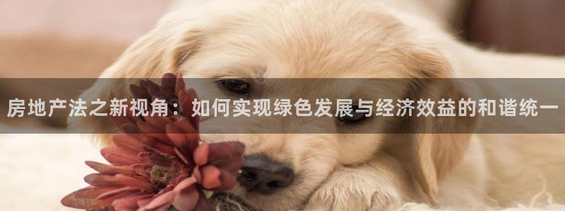 和记平台网站官网：房地产法之新视角：如何实现绿色发展与经济效