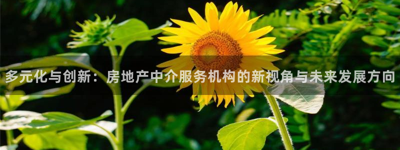 和记娱乐 官网：多元化与创新：房地产中介服务机构的新视角与未