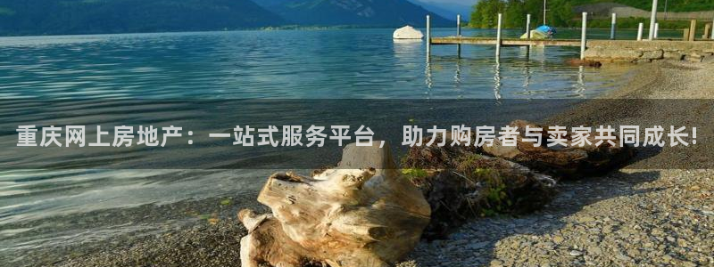 成都和记黄埔地产官网：重庆网上房地产：一站式服务平台，助力购