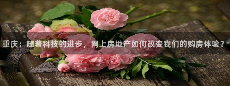 和记万佳国际家居城官网：重庆：随着科技的进步，网上房地产如何