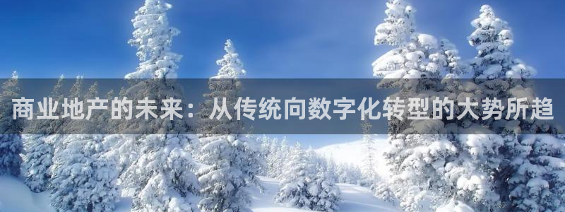 和记怡情博娱中国官网：商业地产的未来：从传统向数字化转型的大