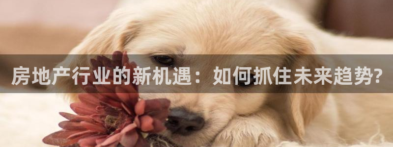 郑州和记酒业官网：房地产行业的新机遇：如何抓住未来趋势?