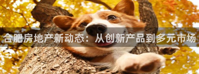 和记国际电讯官网：合肥房地产新动态：从创新产品到多元市场