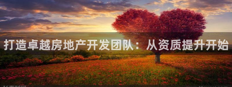 香港和记电信官网：打造卓越房地产开发团队：从资质提升开始