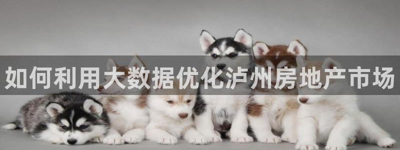 和记餐厅官网：如何利用大数据优化泸州房地产市场