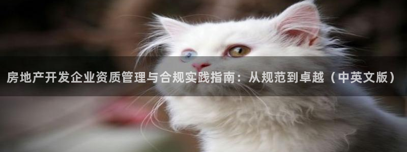 和记混凝土官网：房地产开发企业资质管理与合规实践指南：从规范