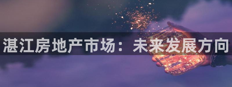 和木记官网：湛江房地产市场：未来发展方向