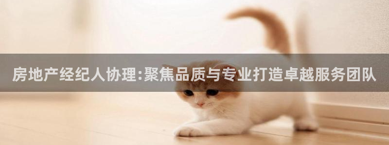 香港和记集团官网：房地产经纪人协理:聚焦品质与专业打造卓越服