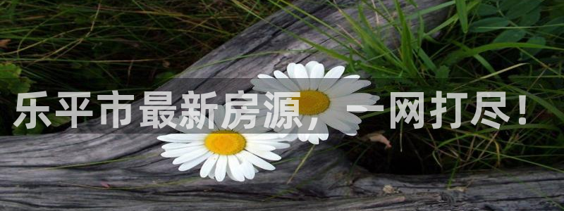 和记卡官网：乐平市最新房源，一网打尽！