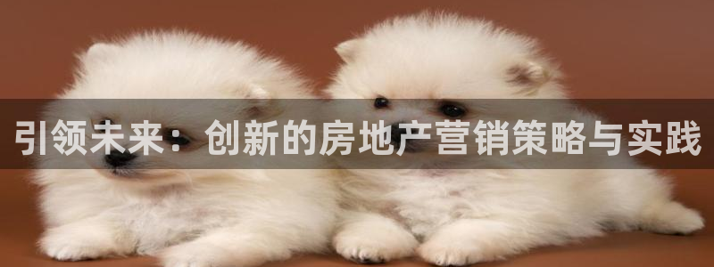 香港和记电讯公司官网：引领未来：创新的房地产营销策略与实践