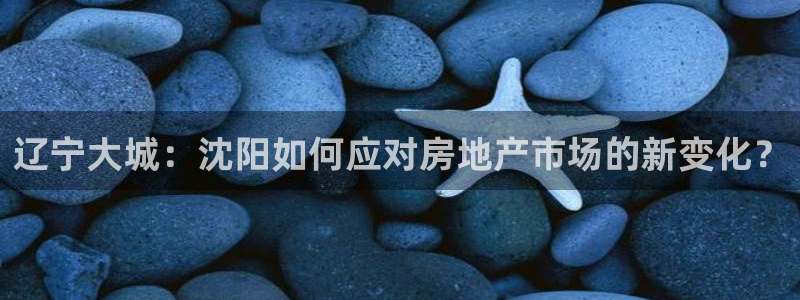和记国际平台官网：辽宁大城：沈阳如何应对房地产市场的新变化？
