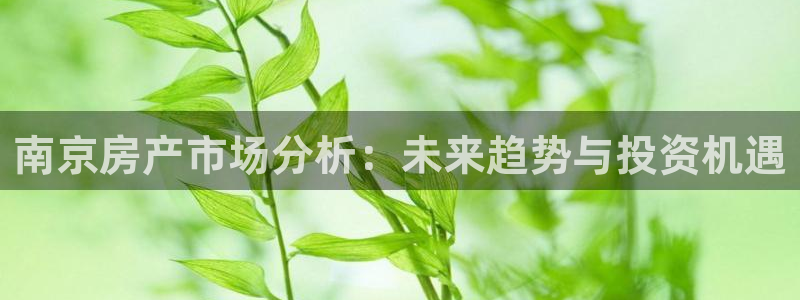 和帆记加盟官网：南京房产市场分析：未来趋势与投资机遇