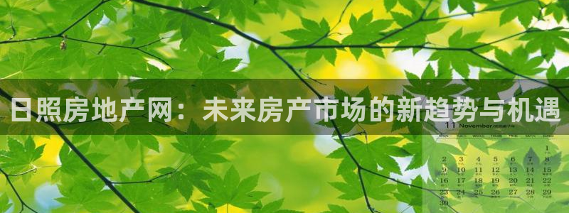 和记奥普泰 官网：日照房地产网：未来房产市场的新趋势与机遇