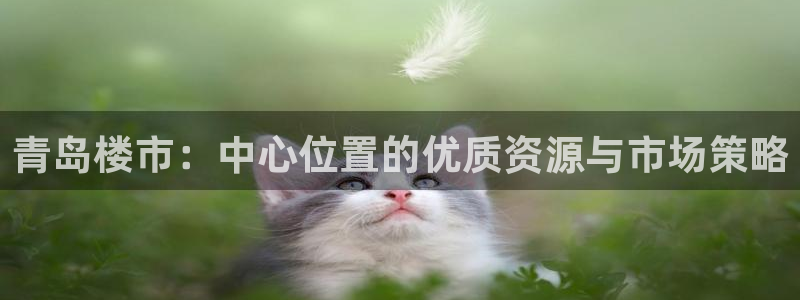 和记官网加盟：青岛楼市：中心位置的优质资源与市场策略