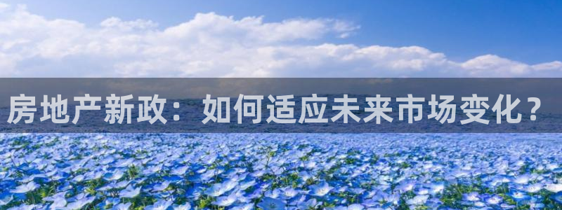 和记h88game官网：房地产新政：如何适应未来市场变化？