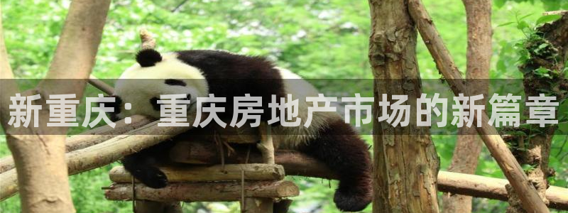 和记h8官网：新重庆：重庆房地产市场的新篇章