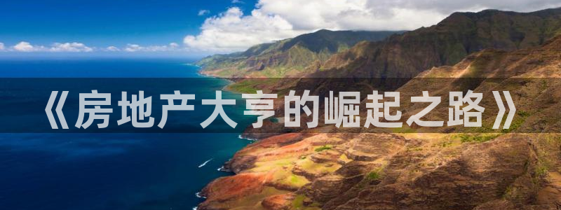 和记app官方官网登录：《房地产大亨的崛起之路》