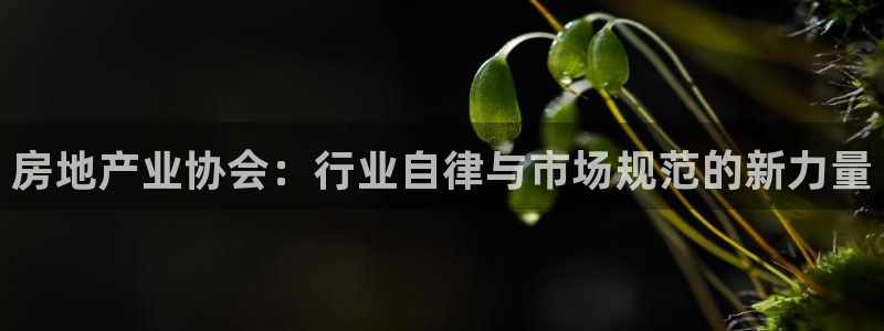 小金库钱包app下载官网和记