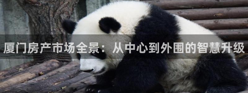 胡和记官网：厦门房产市场全景：从中心到外围的智慧升级