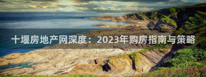 和记官网手机新版app下载：十堰房地产网深度：2023年购房