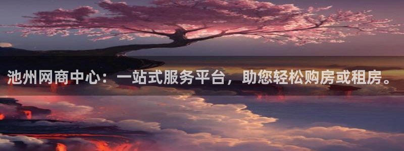 和记怡情视频在线官网：池州网商中心：一站式服务平台，助您轻松