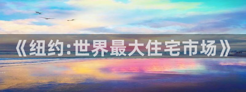 和记集团官网：《纽约:世界最大住宅市场》