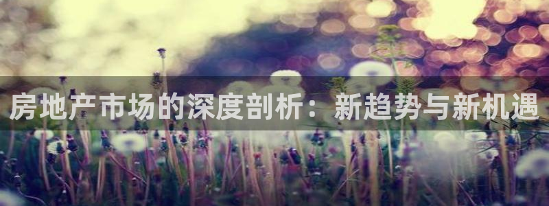和记官网平台入口：房地产市场的深度剖析：新趋势与新机遇